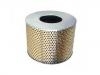 Luftfilter Air Filter:17801-67060