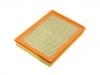 Air Filter:04891176AA