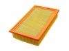 Air Filter:1L2Z 9601 AA