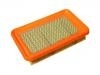 Filtro de aire Air Filter:25099209