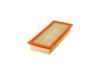 Luftfilter Air Filter:5F9Z-9601-AA