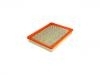 Filtro de aire Air Filter:25096932