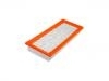 Filtro de aire Air Filter:5M6Z-9601-AA