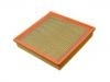 Luftfilter Air Filter:25099136