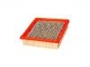 Filtro de aire Air Filter:25043246