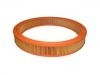 Luftfilter Air Filter:93152307