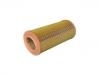 Luftfilter Air Filter:16546-G9900-B1