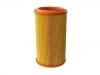 Luftfilter Air Filter:55184295