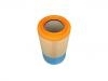Air Filter:164 0921
