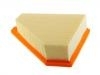 Air Filter:9T1Z-9601-A