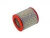 Filtro de aire Air Filter:1384034