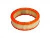 Air Filter:25040881