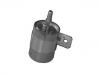 Kraftstofffilter Fuel Filter:4638387