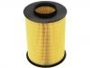 Luftfilter Air Filter:30792881