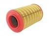 Air Filter:YL5U-9601-AA