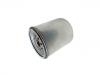 Kraftstofffilter Fuel Filter:2R0 127 177 A