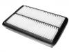 Air Filter:S18D-1109111