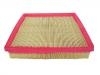 Luftfilter Air Filter:24531927