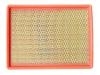 Air Filter:CNIC-159601-AA