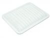 Luftfilter Air Filter:2010005AAF0000