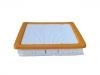 Luftfilter Air Filter:22971580