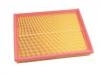 Air Filter:10137097