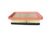 Air Filter:1109013-G03