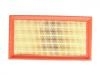 Luftfilter Air Filter:1109113-C03