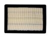 Filtro de aire Air Filter:2010005ASV0000