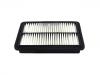 Air Filter:1109012U8010