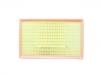 Luftfilter Air Filter:11090140B01B00