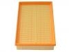 Air Filter:1109160EY