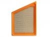 Luftfilter Air Filter:23450879