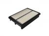 Filtro de aire Air Filter:1109130U7500