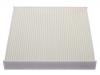 Cabin Air Filter:500042992