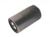 Filtre carburant Fuel Filter:500039731