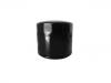 Oil Filter:1012110-E06-A1