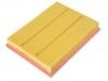 Air Filter:2210 514